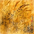 Juncia japonesa RJ0100 — Paisaje brumoso en acuarela