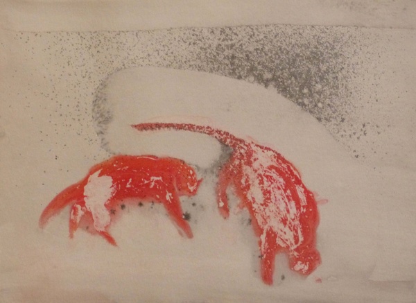 Gatti nella neve 2