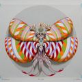 Mariposa circular V