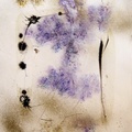 Thwarted Intentions 8