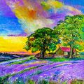 Lilac Sunset