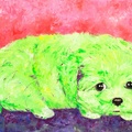 Cachorro verde