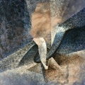 Abstract V