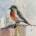 Little Bird