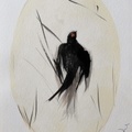 El pájaro.