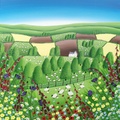 Beyond The Flower Meadow