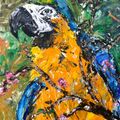 Hello Polly