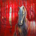 Horse Metamorphosis