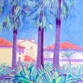 Succulents and Palms, Antibes