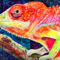 Camaleonte