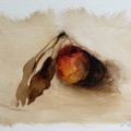 Naturaleza muerta: la manzana