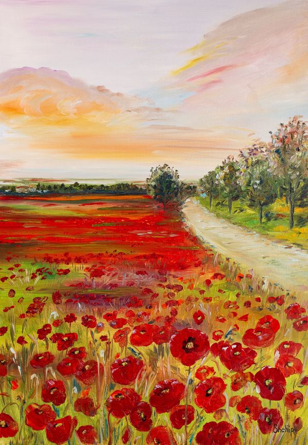 Champ de coquelicots au bord de la route