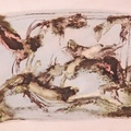 Metadrawing 60