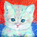 Cutie Kitten