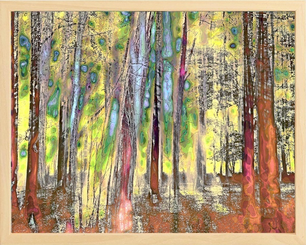 Mystifying Forest 5