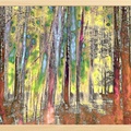 Mystifying Forrest 5
