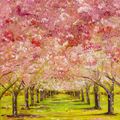 Blooming Cherry Alley