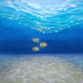 Under Sea Escape
