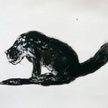 The Black Cat 1