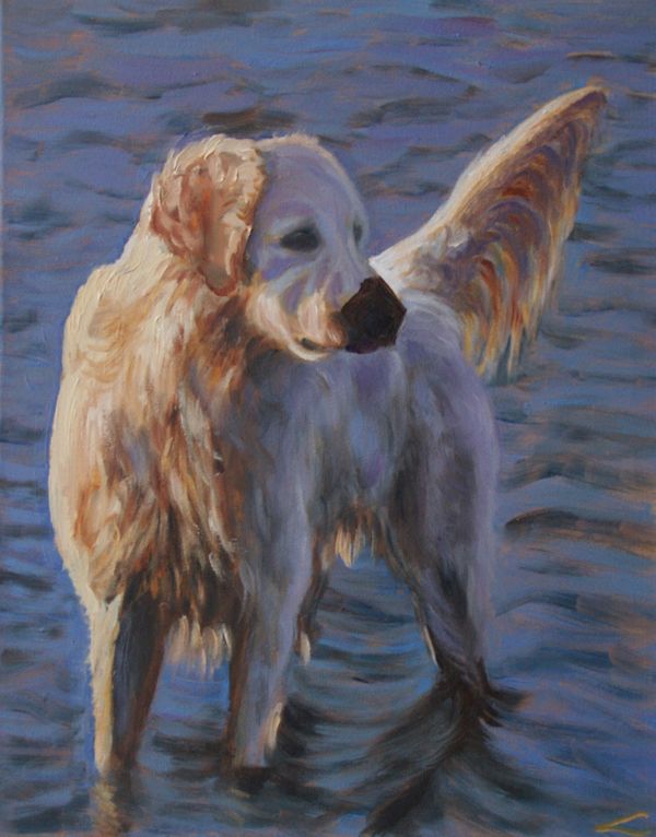 Hund am Meer