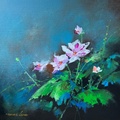 Lily Beauty