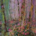 Magical nature opus 90