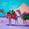 Egypt. Boy on a Camel