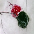 C12 Acrílico sobre papel