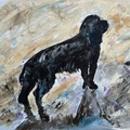 Poppy the Artists Companion