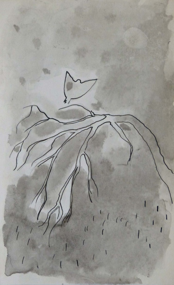 El pájaro, ACEO