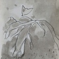 El pájaro, ACEO
