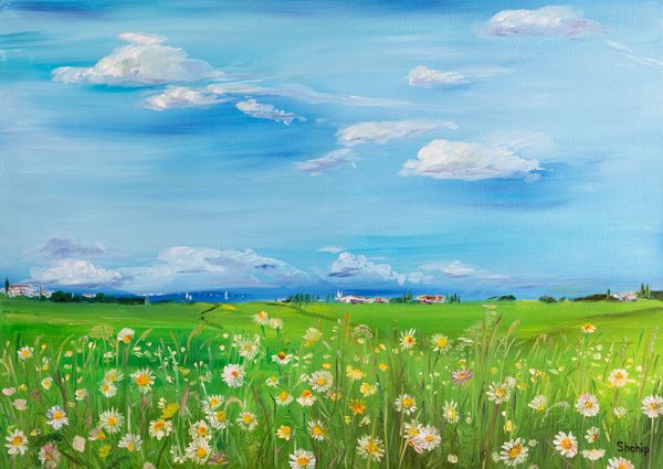 Daisy Field