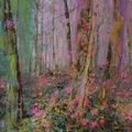 Magical Nature Opus 90