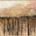 A Harsh Land