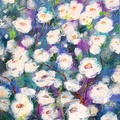 Rosa blanca silvestre