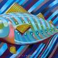 Little Fish