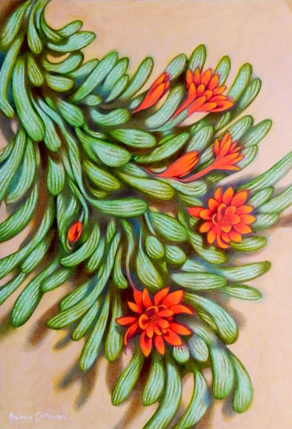 Fleurs rouges 1