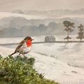 Robin And Bothy