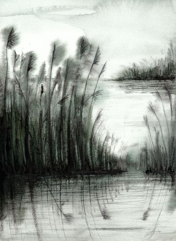 Lago con juncos