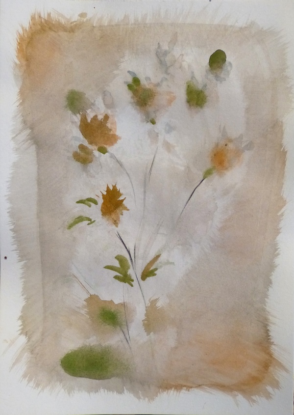 I fiori delicati