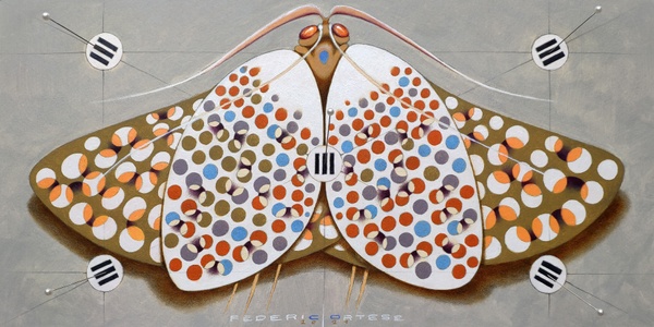 Chromatic Butterfly