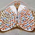 Chromatic Butterfly