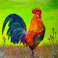 Gallo. Mattina in campagna