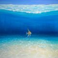 Angel Escapes To The Sea