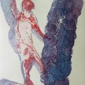 C14 Acrylic on paper