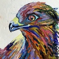 Águila
