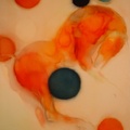 Transfigure 8