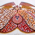 Mariposa cromática: rosa