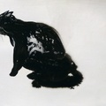 El gato negro 3