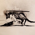 The Nocturnal Cat